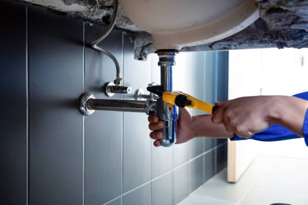 Best Garbage Disposal Repair and Installation  in Thruston, KY